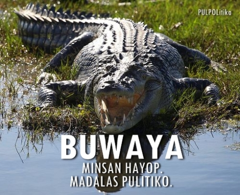 Buwaya